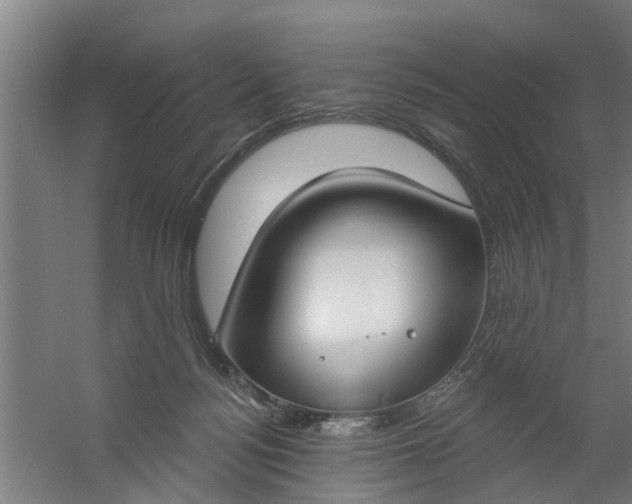 X0000059840172200511041822