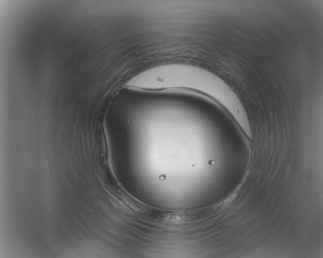 X0000059840174200511041823