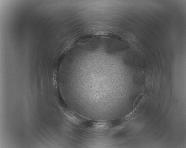 X0000059840175200511041823