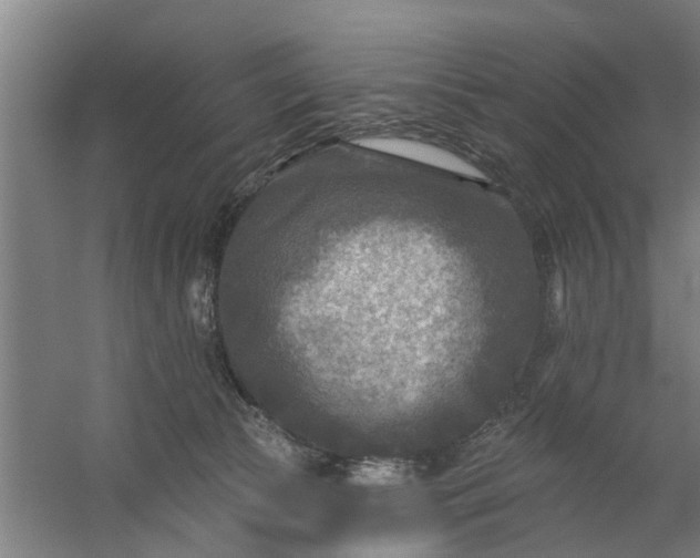 X0000059840177200511041823