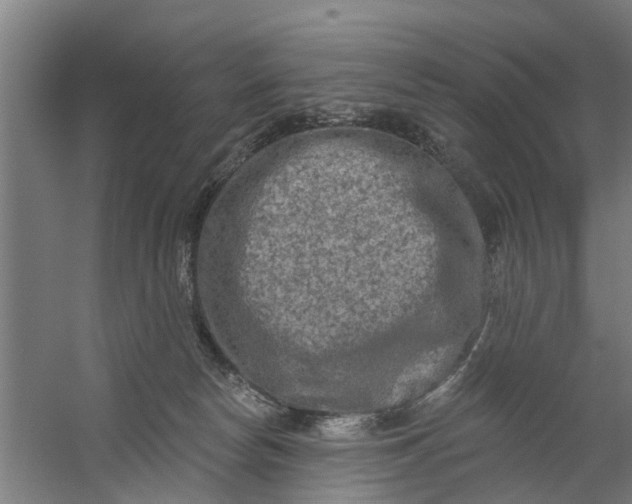 X0000059840178200511041823