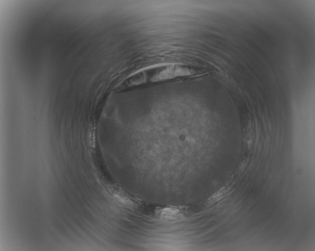 X0000059840180200511041823