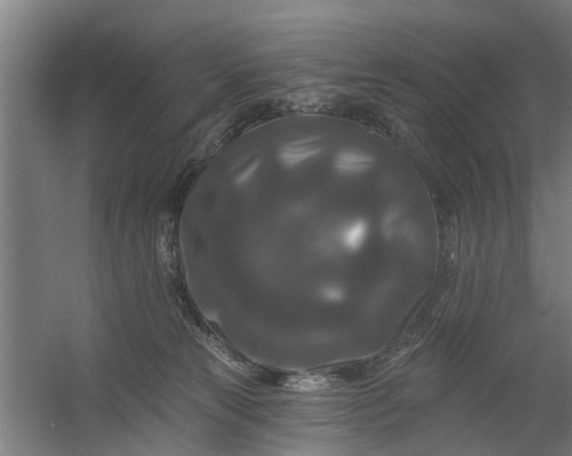 X0000059840181200511041823