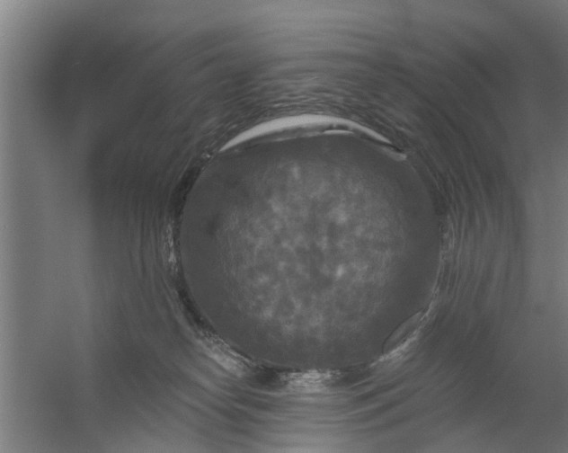 X0000059840182200511041823