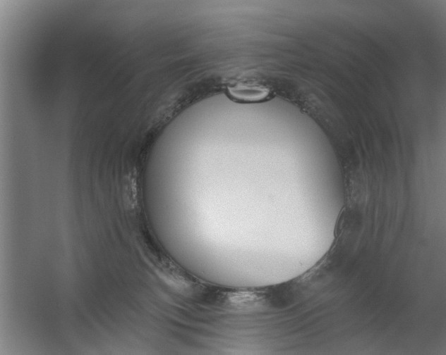 X0000059840183200511041823