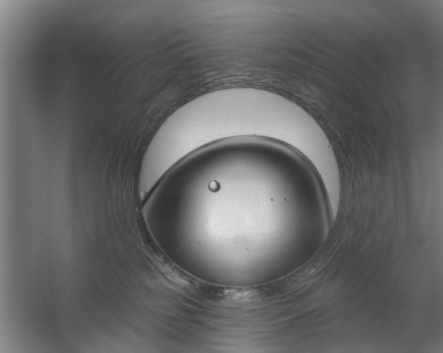 X0000059840185200511041823