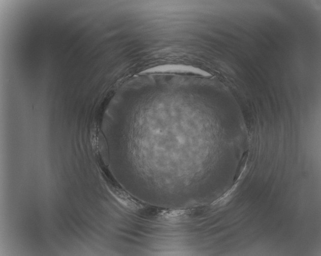 X0000059840186200511041823