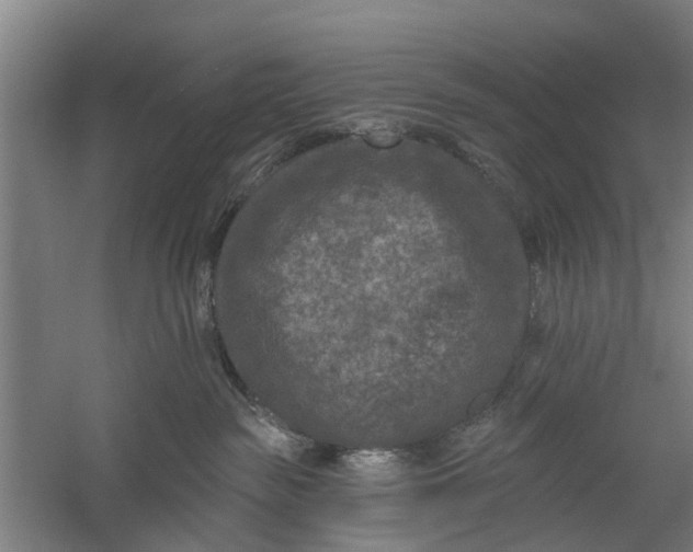 X0000059840189200511041823