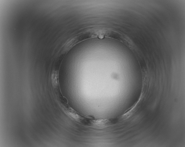 X0000059840191200511041823