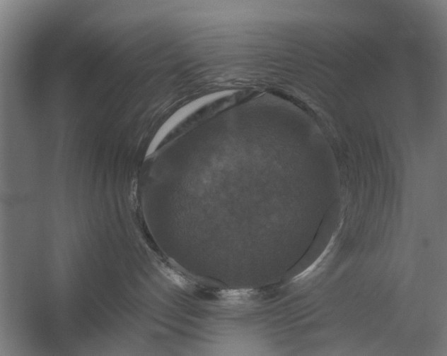 X0000059840192200511041823