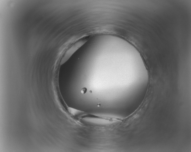 X0000059840193200511041822