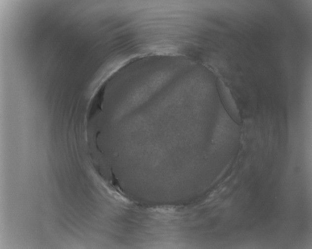 X0000059840194200511041822