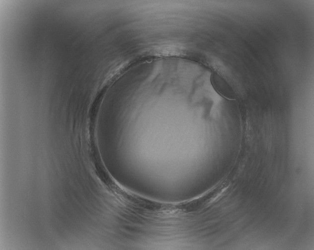 X0000059840202200511041822