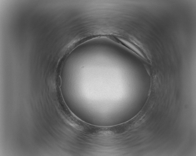 X0000059840203200511041822