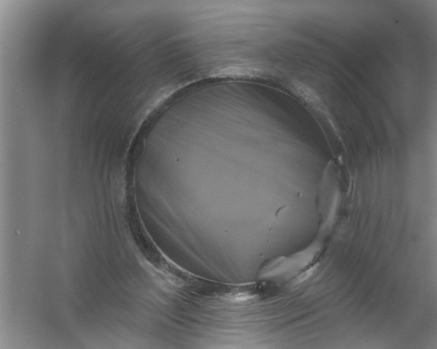 X0000059840204200511041822