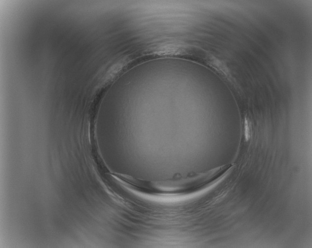 X0000059840205200511041822