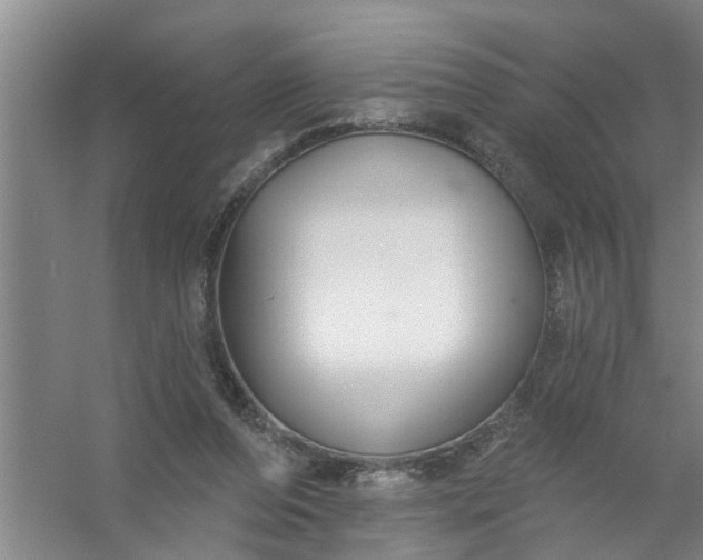 X0000059840208200511041822