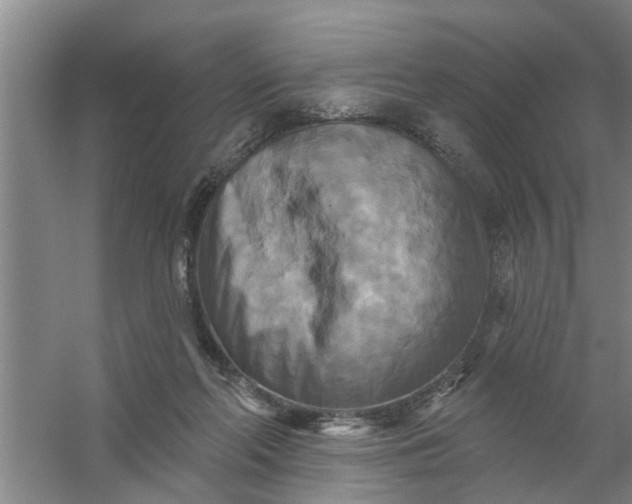 X0000059840214200511041822