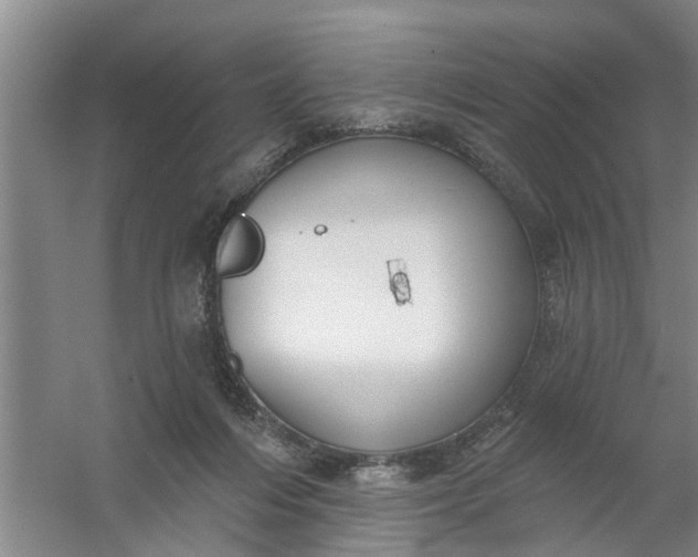 X0000059840216200511041822