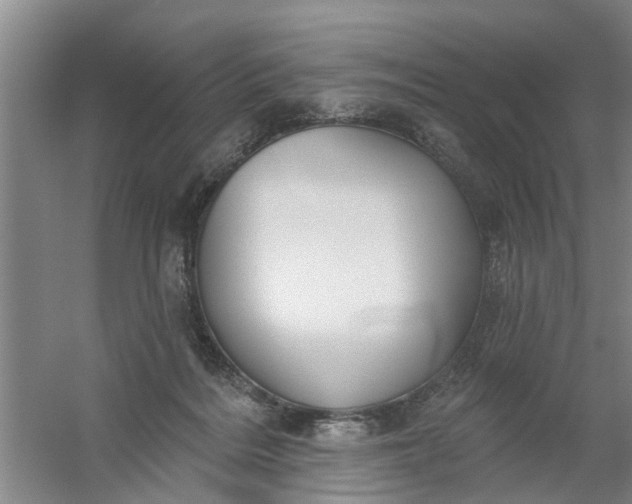 X0000059840220200511041822