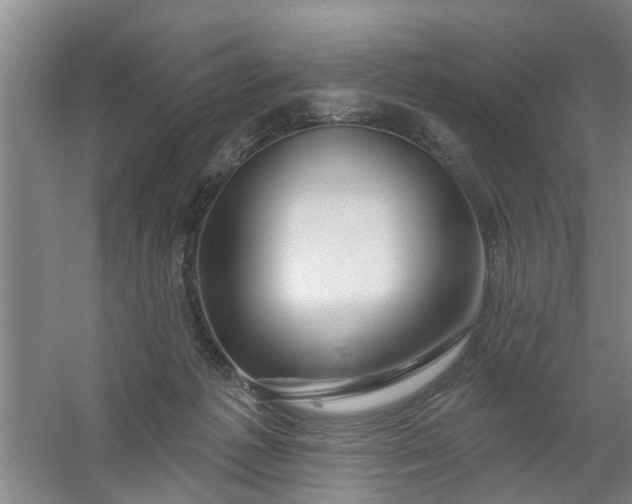 X0000059840221200511041822