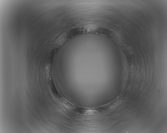 X0000059840222200511041822