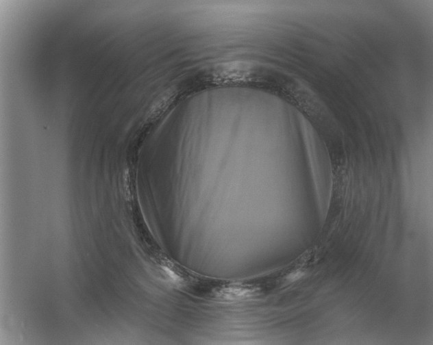 X0000059840224200511041821