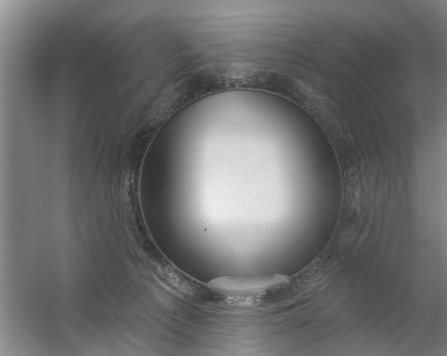 X0000059840225200511041821