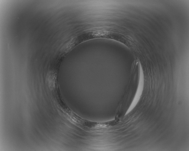 X0000059840227200511041821