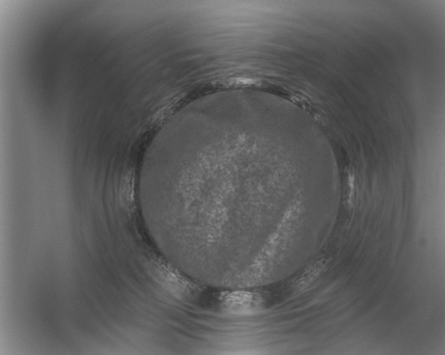 X0000059840230200511041821