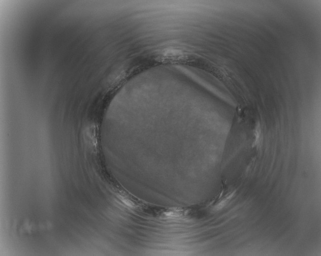 X0000059840232200511041821