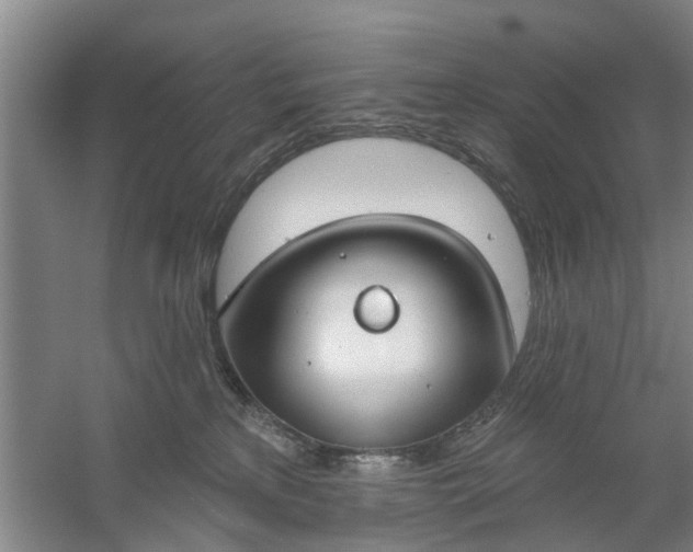 X0000059840233200511041821