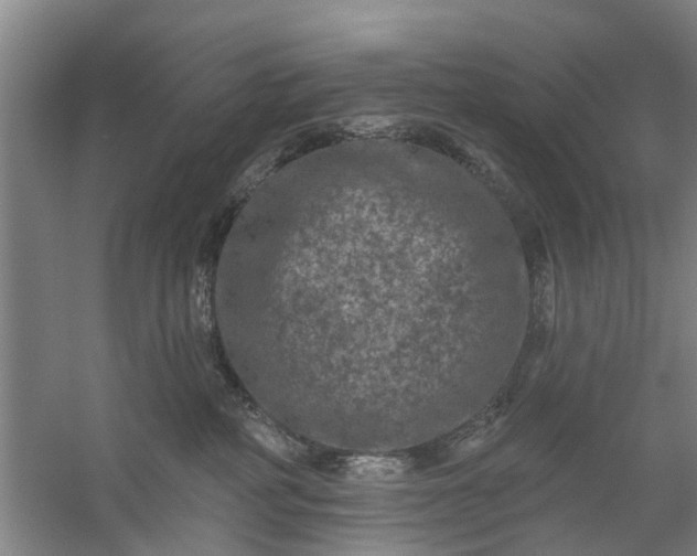 X0000059840234200511041821