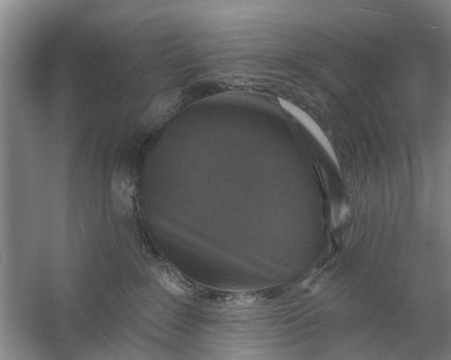 X0000059840235200511041821