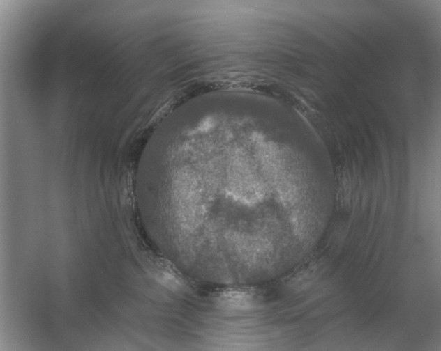 X0000059840236200511041821