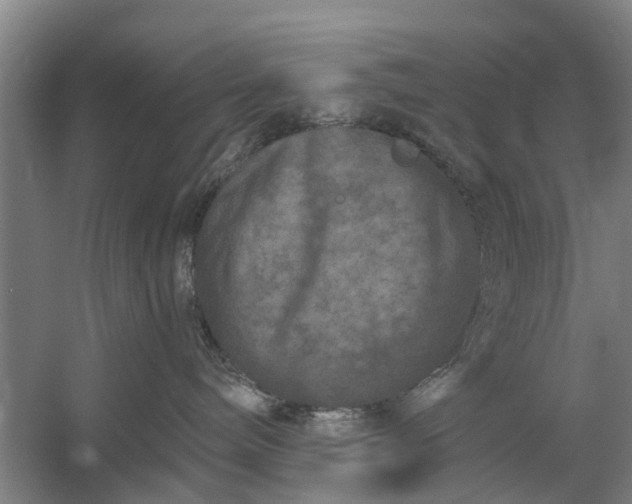 X0000059840240200511041821