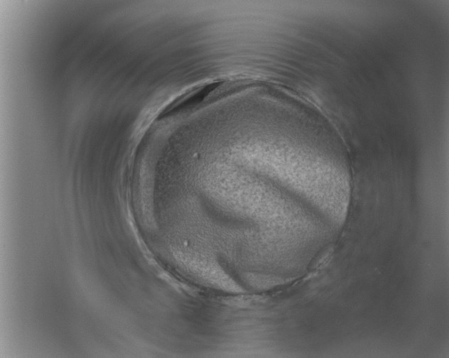 X0000059840241200511041820