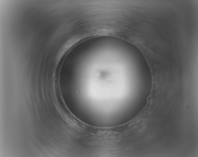 X0000059840242200511041820