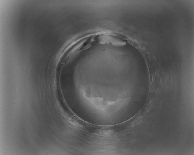 X0000059840247200511041820