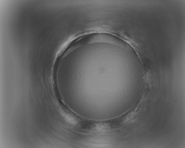 X0000059840248200511041821