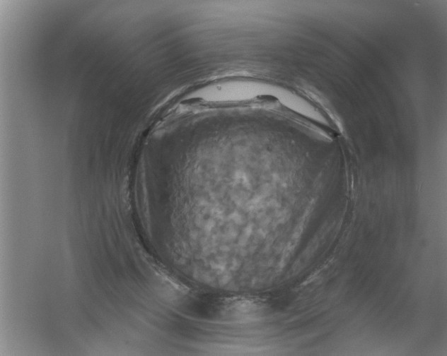 X0000059840249200511041821