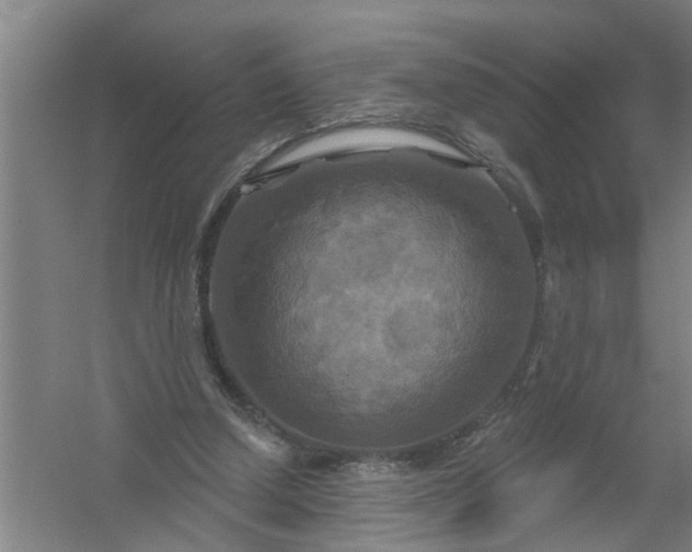 X0000059840250200511041821