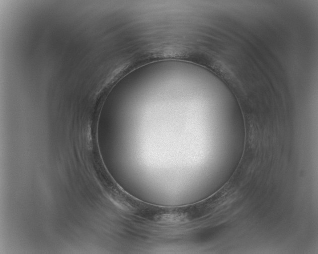 X0000059840251200511041821