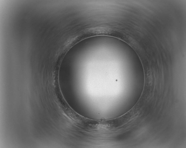 X0000059840255200511041821