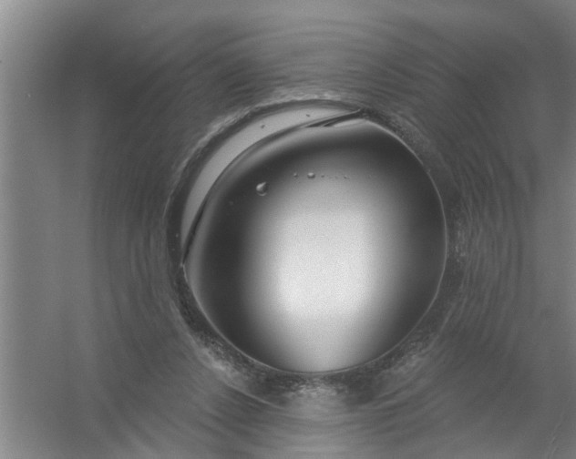 X0000059840256200511041821