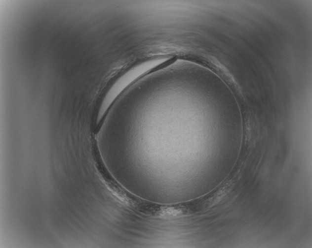 X0000059840257200511041821