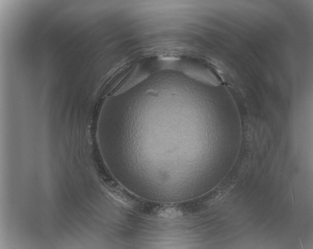 X0000059840258200511041821