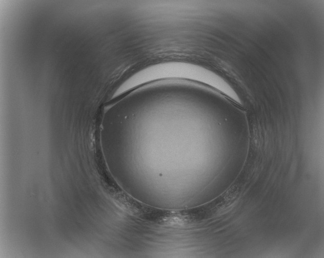 X0000059840259200511041821