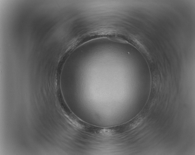 X0000059840261200511041821