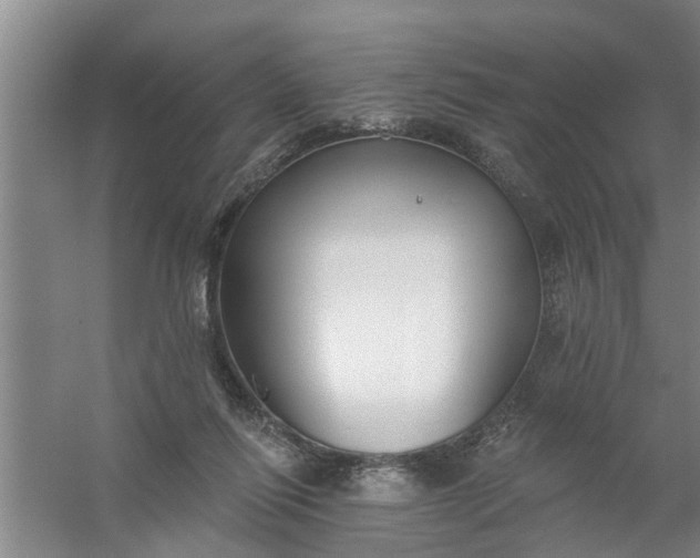 X0000059840262200511041821